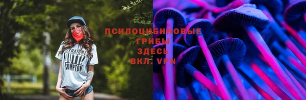 mdpv Кукмор