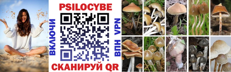 Галлюциногенные грибы прущие грибы  купить наркотики цена  Сухиничи 
